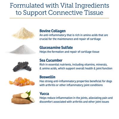 NutriFlex Chewable Tablets Joint Supplement for Cats & Dogs, 90 count