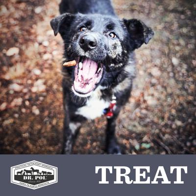 Salmon Munchies Grain-Free Freeze-Dried Raw Dog Treats, 3.5-oz. bag