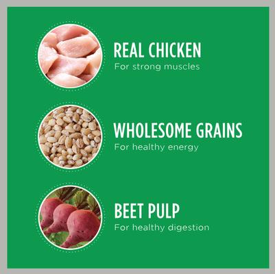 Paquete: Bandejas de comida variadas de pollo, verduras y estofado de res de cocción lenta Cesar Home Delights + alimento seco para perros Iams MiniChunks Small Kibble