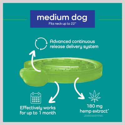 Hemp Helpers Collar for Dogs, Medium