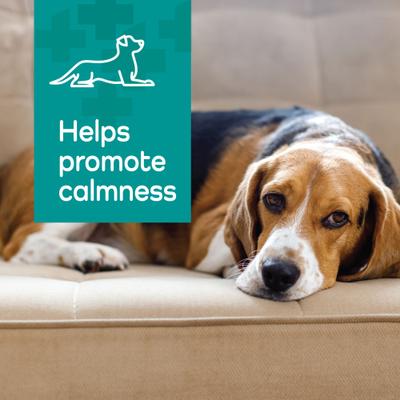 Hemp Helpers Collar for Dogs, Medium