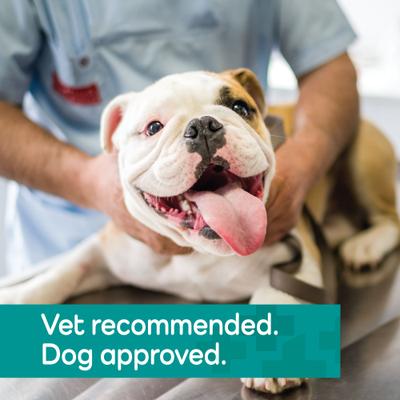 Hemp Helpers Collar for Dogs, Medium