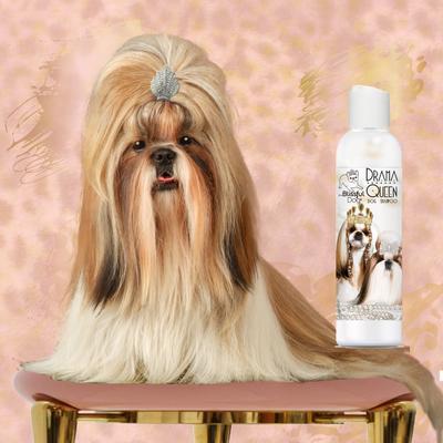 Champú para perros Drama Queen, botella de 237 ml