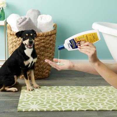 Oatmeal Conditioning Flea & Tick Shampoo for Dogs & Puppies, 18-fl oz