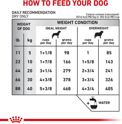 Adult Hydrolyzed Protein Potato & Soy Formula Dry Dog Food, 24.2-lb bag