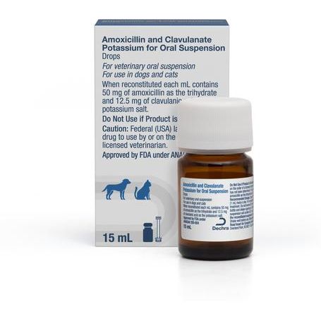 Polvo de amoxicilina y clavulanato de potasio (genérico) para suspensión oral para perros y gatos, 50 mg-12,5 mg/ml, 15 ml