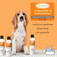 Sulfur Salicylic Acid Oatmeal Antiparasitic & Antiseborrheic Flea & Tick Shampoo for Dogs, 8-fl oz bottle