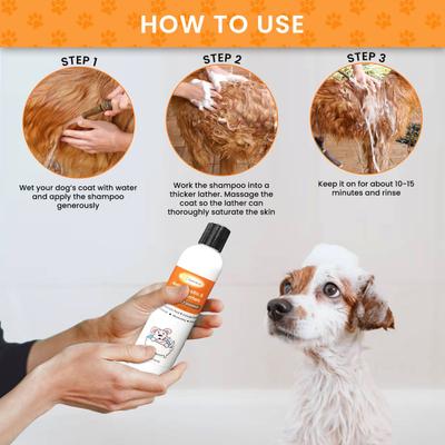 Sulfur Salicylic Acid Oatmeal Antiparasitic & Antiseborrheic Flea & Tick Shampoo for Dogs, 8-fl oz bottle