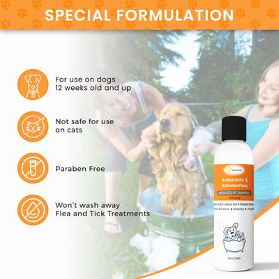 Sulfur Salicylic Acid Oatmeal Antiparasitic & Antiseborrheic Flea & Tick Shampoo for Dogs, 8-fl oz bottle
