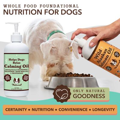 Calming Hemp Oil Peanut Butter & Bacon Flavored Supplement for Dogs, 16-fl oz bottle