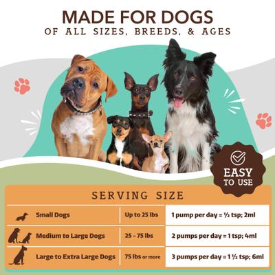 Calming Hemp Oil Peanut Butter & Bacon Flavored Supplement for Dogs, 16-fl oz bottle