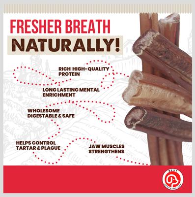 Braided 12-in Bully Sticks Dog Treats, 6 count