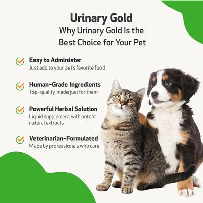 Urinary Gold Liquid Urinary Tract Supplement for Dogs, 2-oz bottle