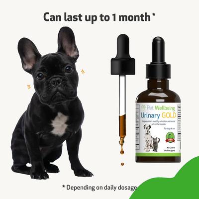 Urinary Gold Liquid Urinary Tract Supplement for Dogs, 2-oz bottle