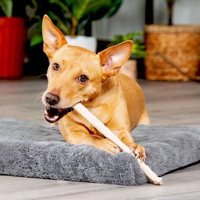 Beefhide Thin Rolls 10-inch Natural Flavored Dog Hard Chews, 35 count