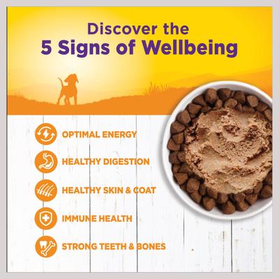 Paquete: Alimento seco para perros Wellness Small Breed Complete Health Puppy con receta de harina de pavo, avena y salmón, bolsa de 4 lb + Alimento enlatado para perros Wellness Complete Health Just for Puppy, 12.5 oz, caja de 12