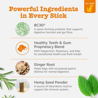 Hemp Elements Probiotic OraStix Peppermint Flavored Dog Dental Chews, 12-oz bag