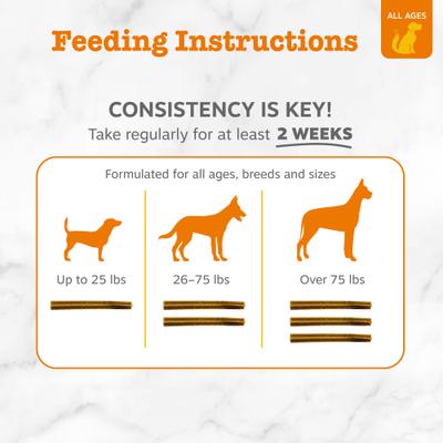 Hemp Elements Probiotic OraStix Peppermint Flavored Dog Dental Chews, 12-oz bag