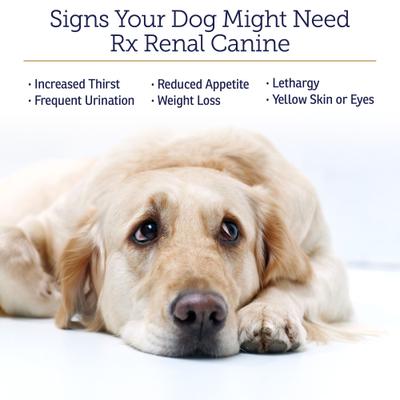 Rx Renal Capsules Kidney Supplement for Dogs, 120 count