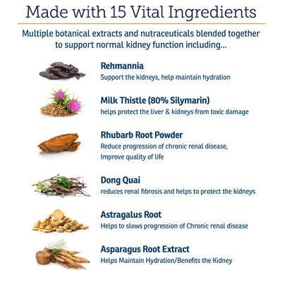 Rx Renal Capsules Kidney Supplement for Dogs, 120 count