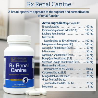 Rx Renal Capsules Kidney Supplement for Dogs, 120 count