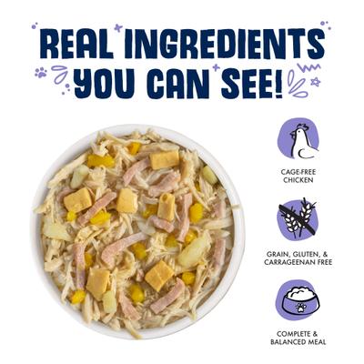 Bed & Breakfast with Chicken, Egg, Pumpkin & Ham in Gravy Grain-Free Canned Dog Food, 14-oz, case of 12