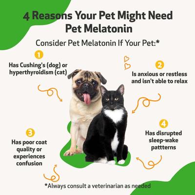 Pet Melatonin Bacon Flavored Liquid Calming Supplement for Dogs, 2-oz bottle