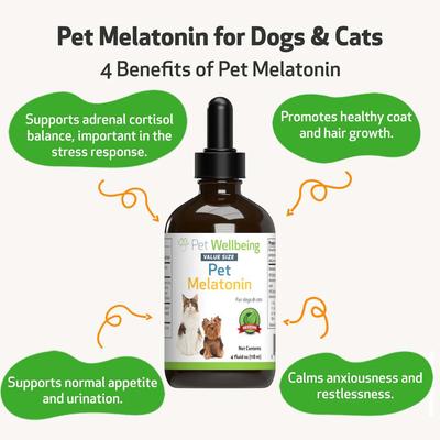Pet Melatonin Bacon Flavored Liquid Calming Supplement for Dogs, 2-oz bottle
