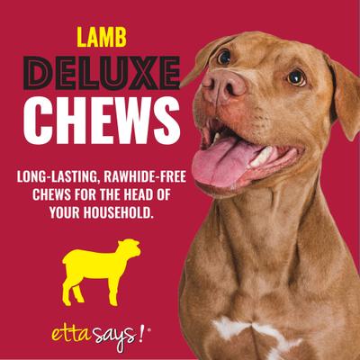 Deluxe Hide-Free Long-Lasting 7" Lamb Recipe Dog Chew