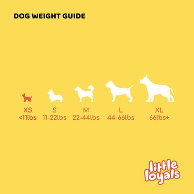 Grade A Premium Whole Deer Antler Chew Dog Treat, X-Small