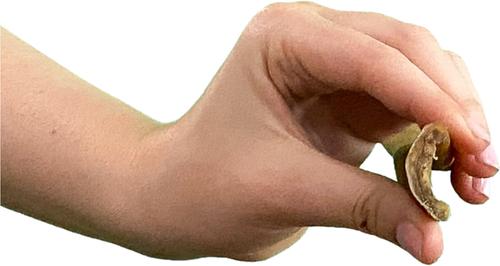 12-inch Collagen Stick Dog Treat