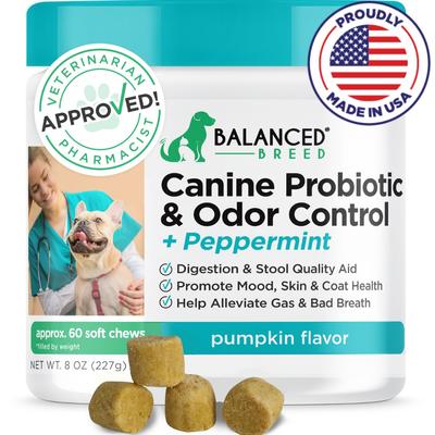 Canine Probiotic & Odor Control Natural Pumpkin Flavored Soft Chew Digestive Aid Supplement for Dogs, 60 count