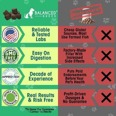 Canine Probiotic & Odor Control Natural Pumpkin Flavored Soft Chew Digestive Aid Supplement for Dogs, 60 count