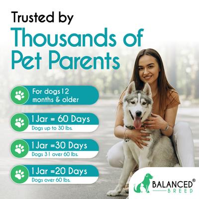 Canine Probiotic & Odor Control Natural Pumpkin Flavored Soft Chew Digestive Aid Supplement for Dogs, 60 count