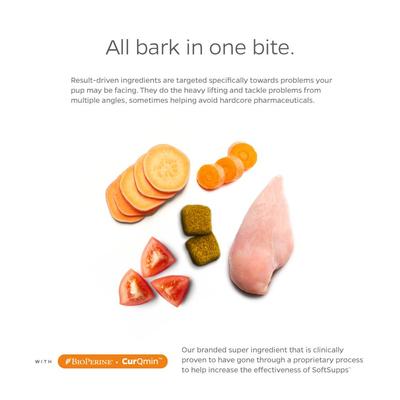 Turmeric & Curcumin Chicken Flavored Dog Supplement, 90 count