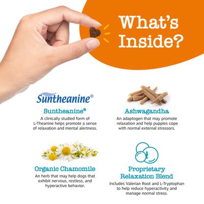 Puppy Calming Bites Behavior Turkey Flavor Soft Chews Supplement for Dogs, 90 count