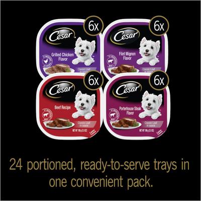 Bundle: Cesar Classic Loaf in Sauce Beef Recipe, Filet Mignon, Grilled Chicken, & Porterhouse Steak Flavors Variety Pack Food Trays + Iams MiniChunks Small Kibble Dry Dog Food