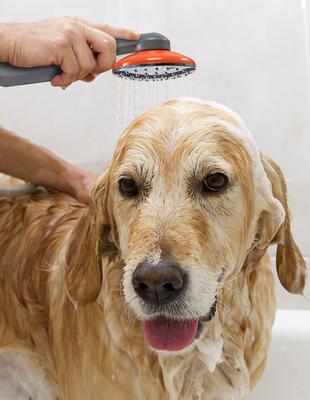 Portable Camping Shower