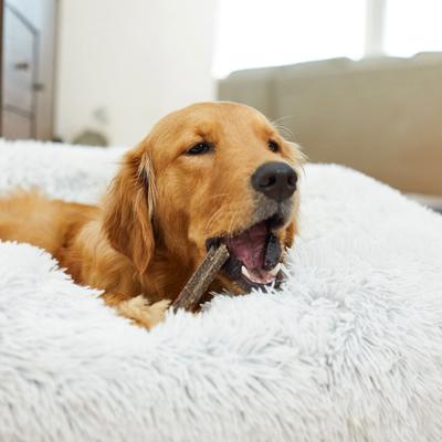 Bundle: Virbac C.E.T. VeggieDent Fr3sh Tartar Control Dog Chews + Benebone Multipack Durable Chew Toy