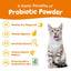 Probiotic Powder Pumpkin Flavored Gut Flora & Digestive Aid Supplement for Cats, 30 count