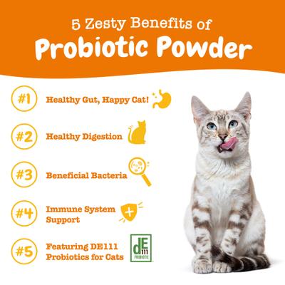 Probiotic Powder Pumpkin Flavored Gut Flora & Digestive Aid Supplement for Cats, 30 count