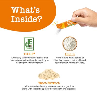 Probiotic Powder Pumpkin Flavored Gut Flora & Digestive Aid Supplement for Cats, 30 count