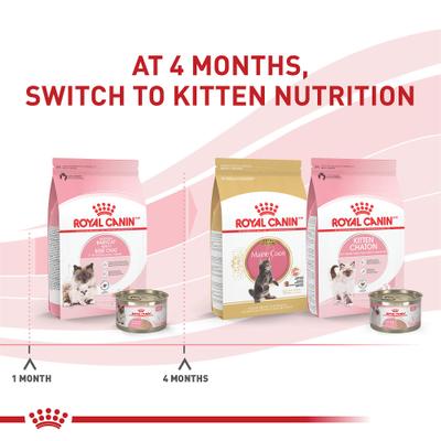 Alimento húmedo para gatos Feline Health Nutrition Mother & Babycat Ultra Soft Mousse en salsa, lata de 5.1 oz, caja de 48