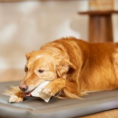 DogLicious Natural Rawhide Chips Dog Treats, 1-lb bag