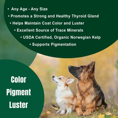 Dogzymes Norwegian Kelp Dog Supplement, 3-lb jar