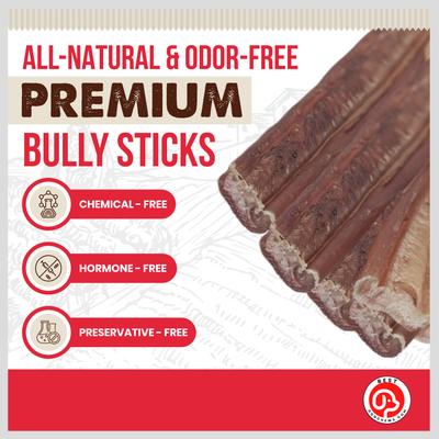 Jumbo 6-in Bully Sticks Dog Treats, 3 count