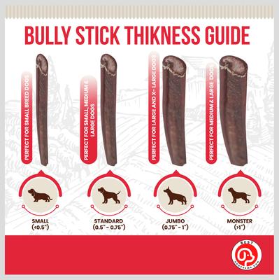 Jumbo 6-in Bully Sticks Dog Treats, 3 count