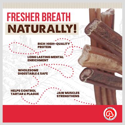 Jumbo 6-in Bully Sticks Dog Treats, 3 count