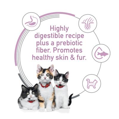 Kitten Sensitive Stomach & Sensitive Skin Salmon & Vegetable Stew Wet Cat Food, 2.8-oz can, 24 count