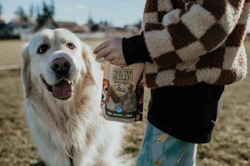 Probites Lamb with Tripe Dog Treats, 3-oz bag